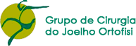 Grupo de Cirurgia do Joelho Ortofisi Grupo de Cirurgia do Joelho Ortofisi